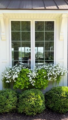 a window box filled with white flowers and greenery