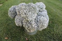 a vase filled with silver flowers sitting on top of a green grass covered park area