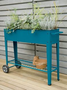 a blue potted planter with plants in it