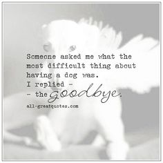 someone asked me what the most difficult thing about having a dog was - the goodbye