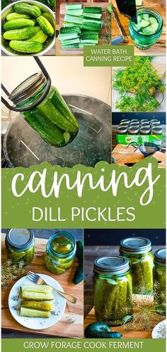 canning dill pickles with text overlay