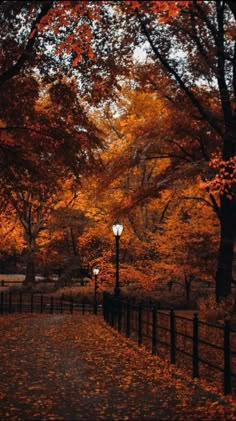 an autumn scene with leaves on the ground and street lights in the foreground, surrounded by trees