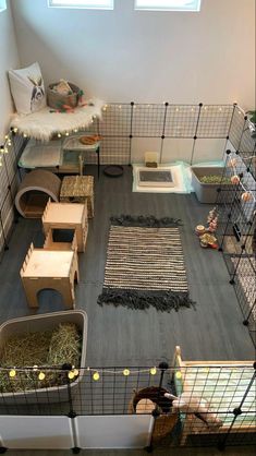 an aerial view of a caged in area with various animals and other things on the floor