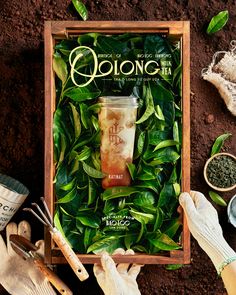 the cover of oolong magazine surrounded by gardening supplies