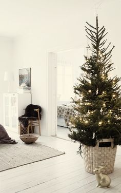 a christmas tree in a room with white walls and wooden floors, is shown on the instagram page