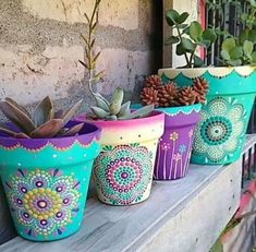 colorful flower pots with succulents and plants in them on a window sill