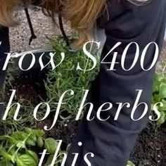 a woman is tending to her garden with the words, grow $ 4000 thofherbs this spring