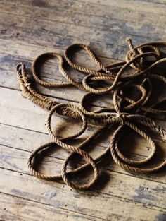 a bunch of rope sitting on top of a wooden floor