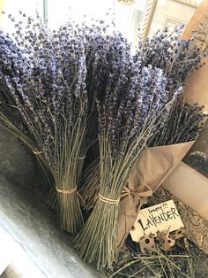 bunches of dried lavender are sitting on the counter