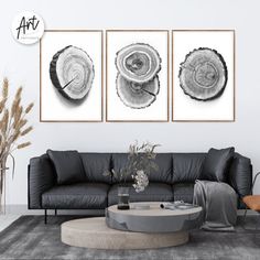 three framed art prints on the wall above a black couch in a modern living room