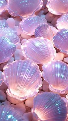 many pink seashells are laying on some white rocks in the water and light up