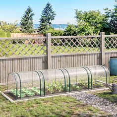 a fenced in garden area with various plants