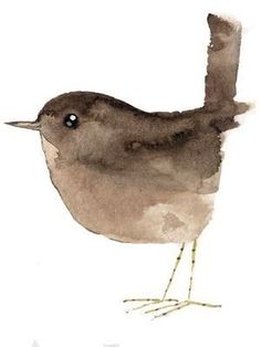 a watercolor painting of a bird on a white background