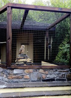 a bird in a cage sitting on top of a stone wall