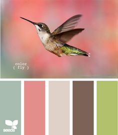 a hummingbird flying through the air with color swatches