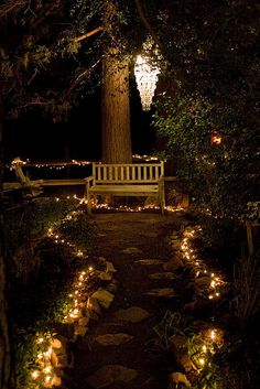 a bench sitting under a tree covered in lights