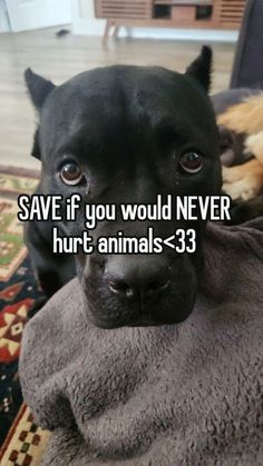 a black dog laying on top of a couch with the caption save if you would never hurt animals > 3