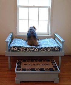 a dog sitting on top of a bed in front of a window