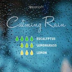 Rain Diffuser Blend, Rain Diffuser, Calming Rain, Calming Essential Oils, Magia Das Ervas, Lemon Essential Oil