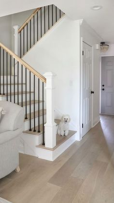 there is a dog sitting on the floor in front of the stairs and next to the couch