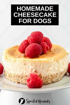 a cheesecake with raspberries on top and the words homemade cheesecake for dogs above it