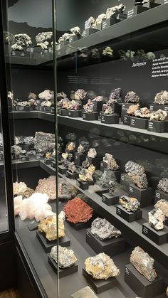 a display case filled with lots of different types of rocks and crystals in glass cases