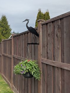 a bird is perched on the side of a fence with a potted plant hanging from it