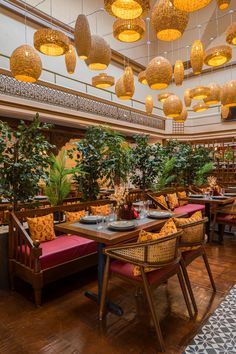 a restaurant with wooden tables and chairs, hanging lights above the dining room table is decorated with potted plants