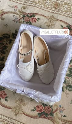 Ballet Flats, Ballet