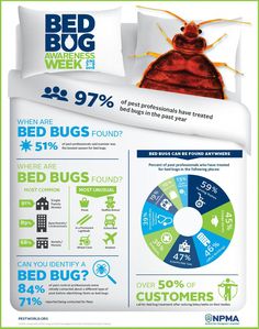 the bed bug is on display in this info sheet, and it's not very big enough to see