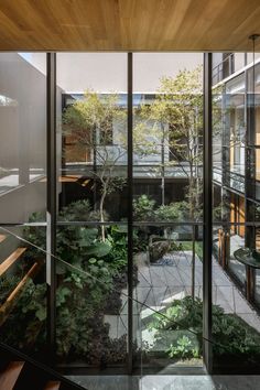 the courtyard is surrounded by glass walls, and has plants growing on each side of the walkway