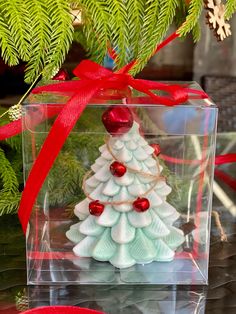 a small christmas tree in a clear box with red ribbon on the top and bottom