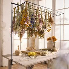 dried flowers are hanging from the ceiling above a table with a potted plant on it