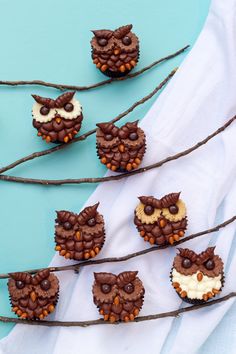 cupcakes decorated like owls sitting on branches