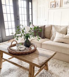 a living room with a couch, coffee table and potted plant on top of it