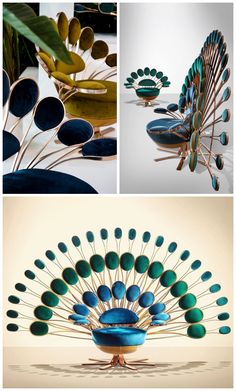 several different pictures of peacocks with their feathers spread out, and the top one is blue