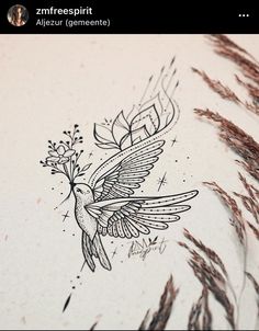 a drawing of a bird with flowers on it's body and wings flying in the air