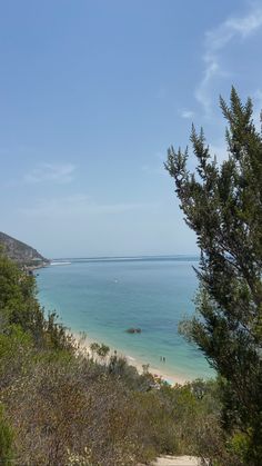 the beach is surrounded by trees and blue water on a sunny day with no one in it