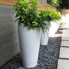 two large white planters sitting next to each other on top of a stone walkway