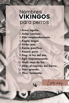 a poster with the words nombres vikingos para perros on it