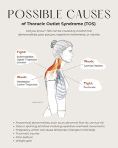 Feeling discomfort in your neck, shoulders, or arms? It could be Thoracic Outlet Syndrome (TOS) 🧨💥 Discover how chiropractic care can help alleviate symptoms and improve your quality of life. From spinal adjustments to postural education, we’ve got you covered 😌🫱🏽‍🫲🏾 SWIPE through to learn more ➡️ ! ____________________________________________ Thoracic Outlet, Thoracic Outlet Symptoms, Muscles Of The Neck Anatomy, Levator Scapulae Muscle, Message Therapy, Upper Cervical Chiropractic, Muscles Of The Neck, Physical Therapy Student, Neck And Shoulder Muscles