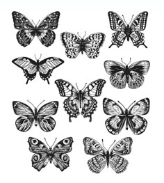 a bunch of butterflies that are drawn in black ink on white paper, each with different colors