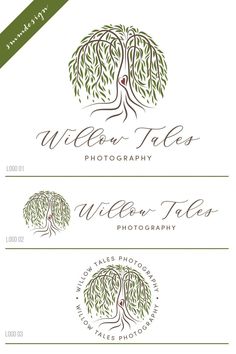 the logo for willow trees photography, which has been designed to look like an old tree