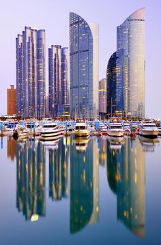 the boats are docked in the harbor with skyscrapers in the backgrounnd