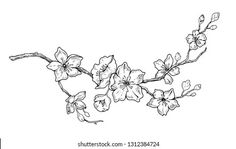 an ink drawing of flowers on a branch