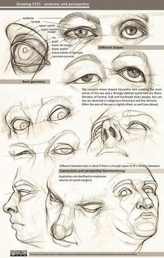 the steps to drawing an eye