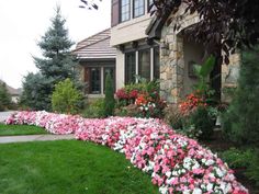 the flowers are blooming along the side of the house in front of the driveway