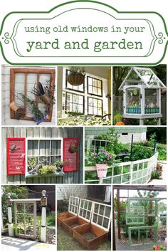 several pictures of different types of windows in the yard and garden with text overlay that reads using old windows in your yard and garden