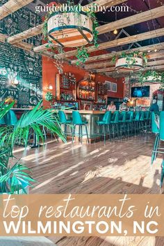 the inside of a restaurant with blue chairs and green plants hanging from the ceiling, on top of a wooden floor