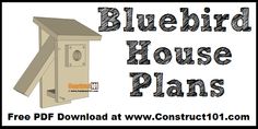 Bird House Plans | Free PDF Download - Construct101 Free Birdhouse Plans, Bluebird Houses, Bird House Plans Free, Backyard Birds Sanctuary, Bird Feeder Plans